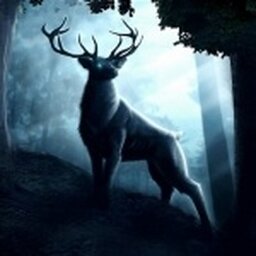 ivandust